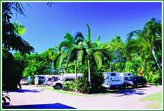 Wongaling Beach QLD Brisbane Tourism