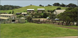 Ace Hi Riding Ranch - Brisbane 4u 0