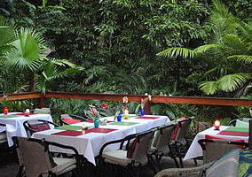 Daintree Rainforest Retreat Motel - Tourism Brisbane 1