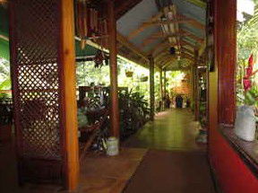 Daintree Rainforest Retreat Motel - Tourism Brisbane 2