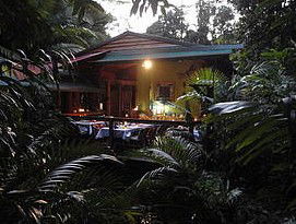 Daintree Rainforest Retreat Motel - Tourism Brisbane 4