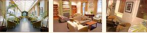AnsoniA On Lydiard - Brisbane 4u 1