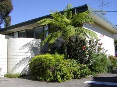 Penguin Mews - Tourism Brisbane 3