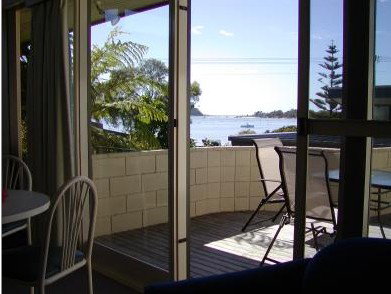 Penguin Mews - Tourism Brisbane 4