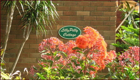 North Balgowlah NSW Tourism Brisbane