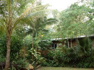Kuranda Rainforest Accommodation Park - Tourism Brisbane 3