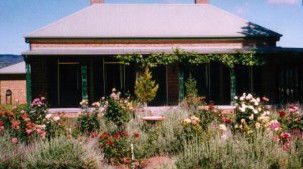 Old Wallinga Country - Tourism Brisbane 0
