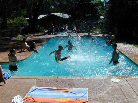 Koala Park Resort - Tourism Brisbane 1