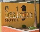 Seahorse Motel - Tourism Brisbane 1