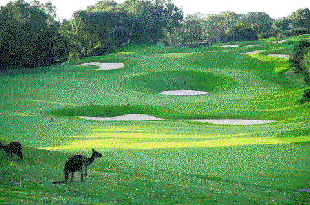 Joondalup Resort - Tourism Brisbane 1