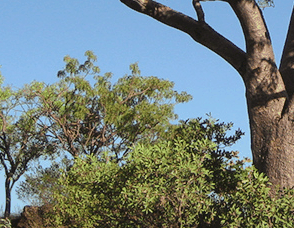 Lakeview Apartments Kununurra - thumb 3