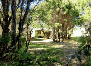 Peaceful Bay Chalets - Brisbane Tourism 4