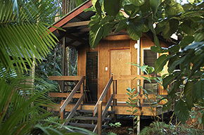 Cape Trib Beach House - Tourism Brisbane 0
