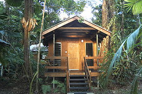 Cape Trib Beach House - Tourism Brisbane 3