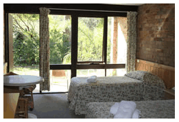 Treetops Resorts - Tourism Brisbane 1
