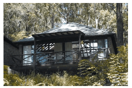 Treetops Resorts - Tourism Brisbane 2