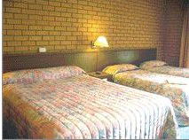 Bega Village Motor Inn - Brisbane Tourism 3