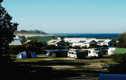 Blue Lagoon Beach Resort - Tourism Brisbane 3
