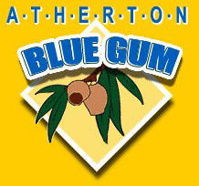 Atherton Blue Gum - Tourism Brisbane 1