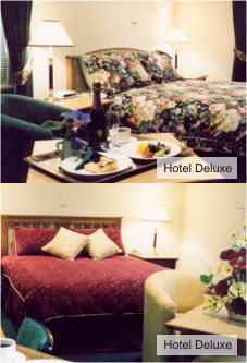 Loxton Community Hotel Motel - Brisbane Tourism 0