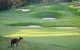 Joondalup Resort - thumb 9
