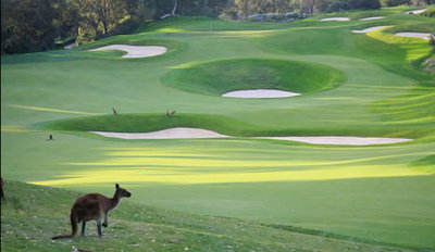 Joondalup Resort - Tourism Brisbane 9