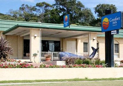 Comfort Inn Albany - Brisbane Tourism 0