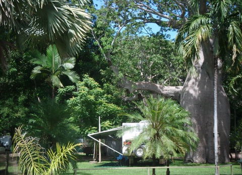 Kimberleyland Holiday Park - Brisbane Tourism 5