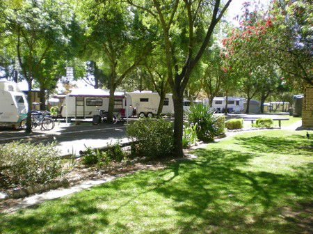 BIG 4 Barossa Tourist Park - Tourism Brisbane 1