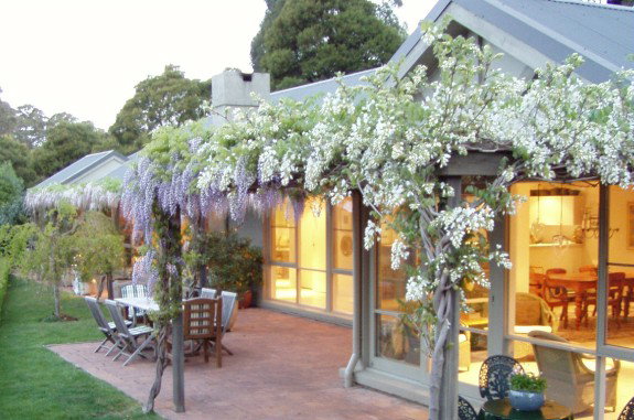 Mount Tomah NSW Tourism Brisbane