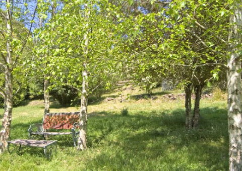 Tomah Mountain Lodge - Tourism Brisbane 2