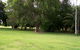 Daly River Mango Farm - thumb 1