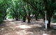 Daly River Mango Farm - thumb 4
