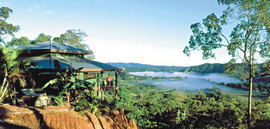 Daintree Cloud 9 - Tourism Brisbane 1