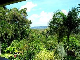 Daintree Manor - Brisbane 4u 3