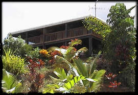 Daintree Manor - Brisbane 4u 5