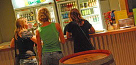 Toddy's Backpackers Resort - Tourism Brisbane 3