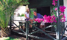 Desert Palms Resort - Tourism Brisbane 3