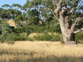 Springton SA Brisbane 4u