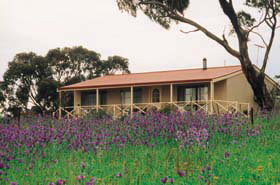 Armagh SA Tourism Brisbane