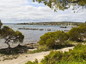 Seagulls Wrest Point - Tourism Brisbane 0