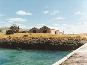 Mt Dutton Bay Woolshed Hostel - Tourism Brisbane 0
