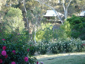Battunga Bed & Breakfast - Tourism Brisbane 0