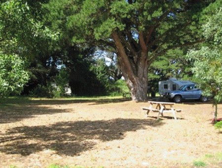 Millicent Hillview Caravan Park - Tourism Brisbane 1