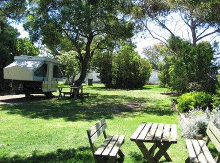 Millicent Hillview Caravan Park - Tourism Brisbane 3