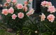 Lot 7 Cottage - thumb 5