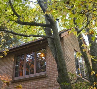 Crafers Cottages - Cherrytree Cottage - Brisbane 4u 4