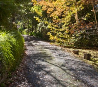 Crafers Cottages - Cherrytree Cottage - Brisbane 4u 5