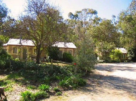 Riesling Trail Cottages - Tourism Brisbane 3