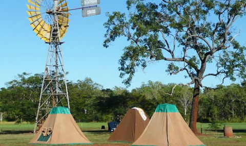 Litchfield Tourist Park - Brisbane Tourism 2